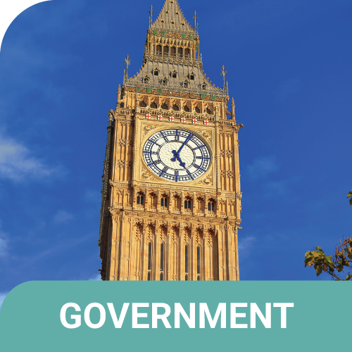 government